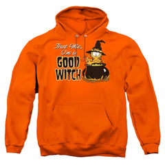 Garfield Trust Me Men's Pull-Over 75 25 Poly Hoodie