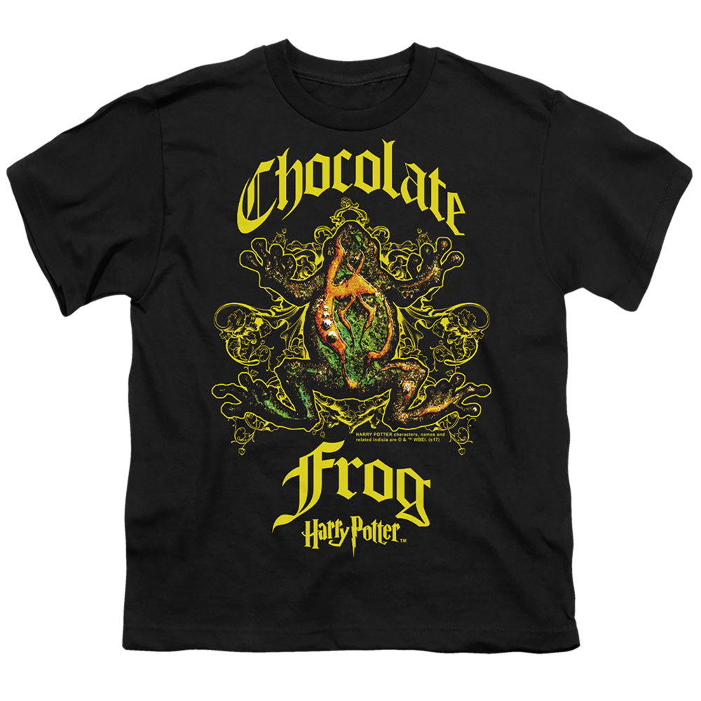 Harry Potter Chocolate Frog Youth 18/1 100% Cotton Short-Sleeve T-Shirt