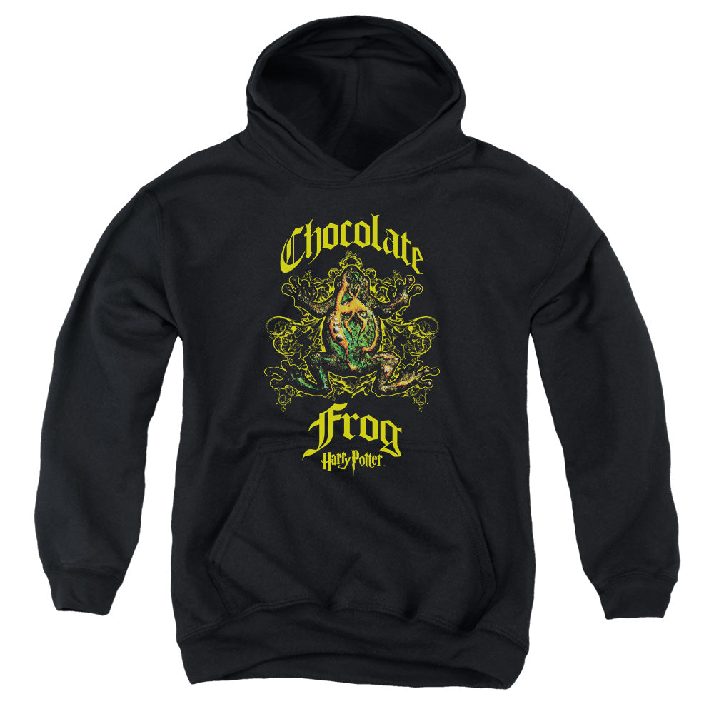 Harry Potter Chocolate Frog Youth Cotton Poly Pull-Over Hoodie