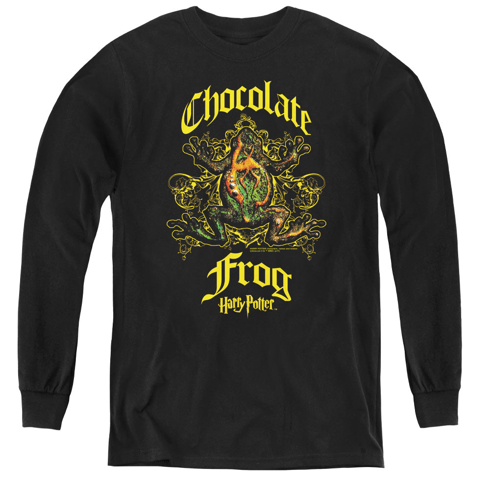 Harry Potter Chocolate Frog Youth Long-Sleeve T-Shirt