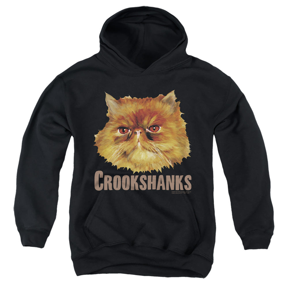 Harry Potter Crookshanks Color Youth Cotton Poly Pull-Over Hoodie