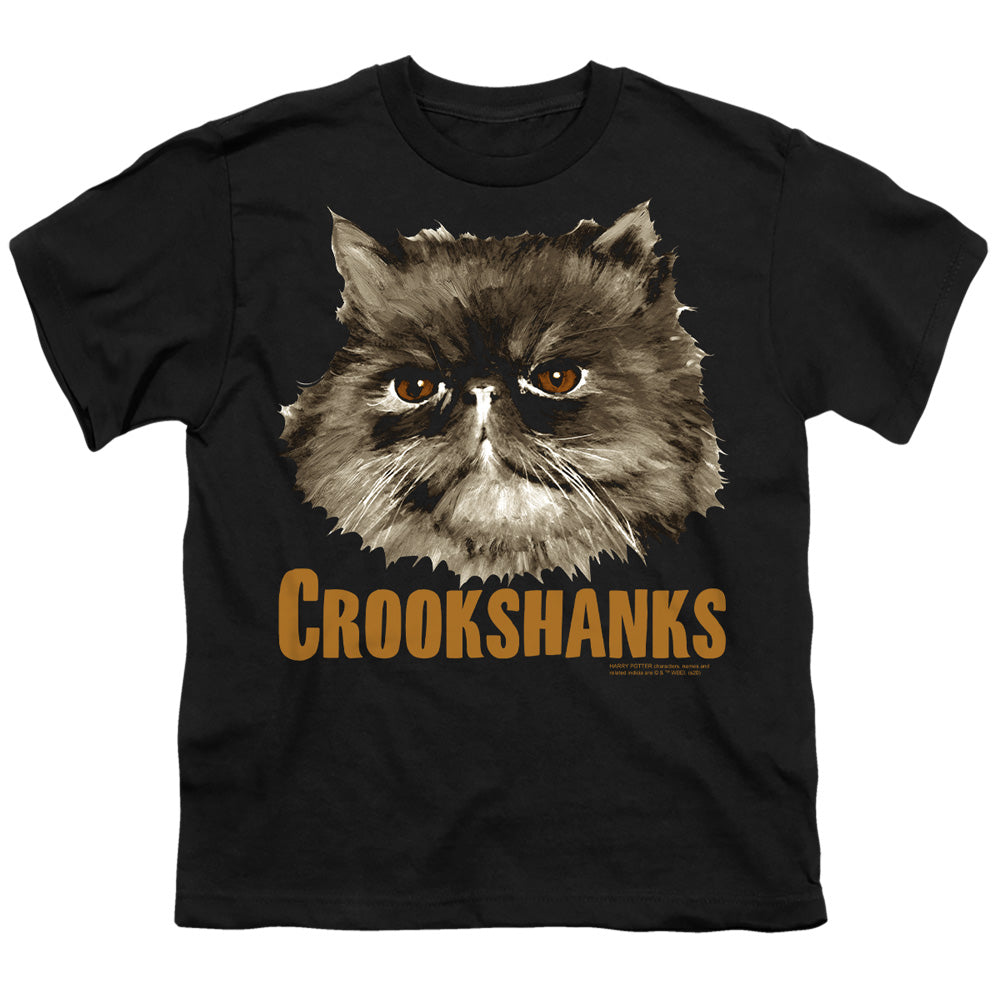 Harry Potter Crookshanks Youth 18/1 100% Cotton Short-Sleeve T-Shirt