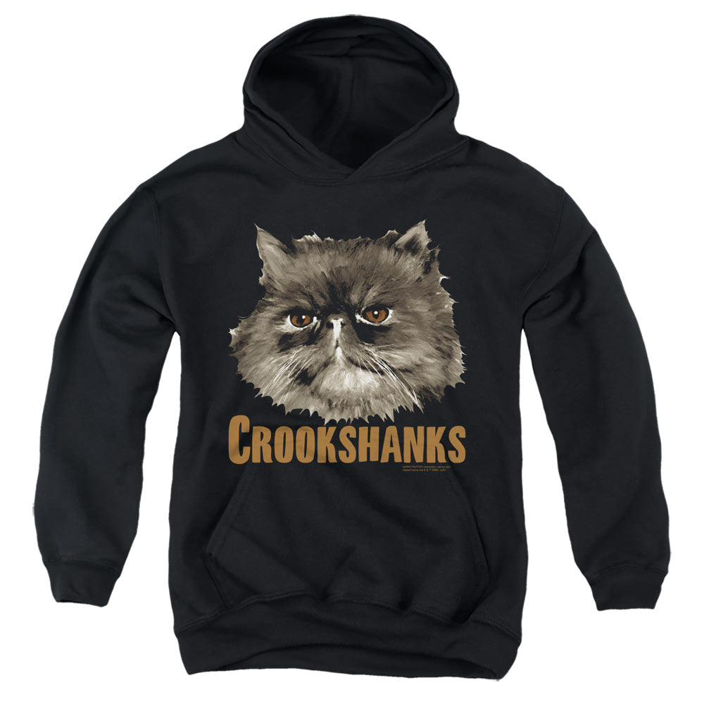 Harry Potter Crookshanks Youth Cotton Poly Pull-Over Hoodie
