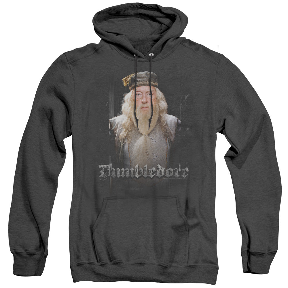 Harry Potter Dumble Doors Men's Pull-Over Hoodie
