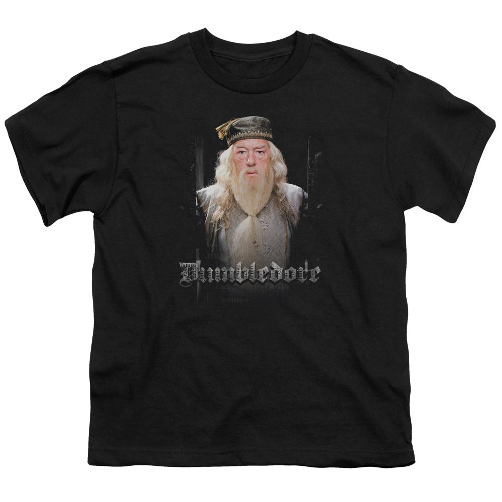 Harry Potter Dumble Doors Youth 18/1 100% Cotton Short-Sleeve T-Shirt