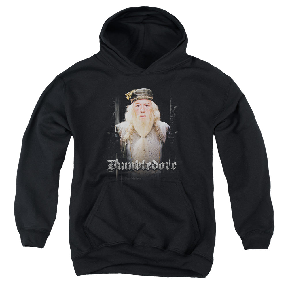 Harry Potter Dumble Doors Youth Cotton Poly Pull-Over Hoodie