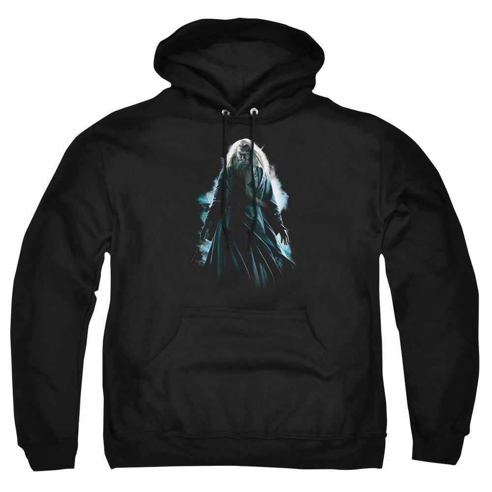 Harry Potter Dumbledore Burst Men's Pull-Over 75 25 Poly Hoodie