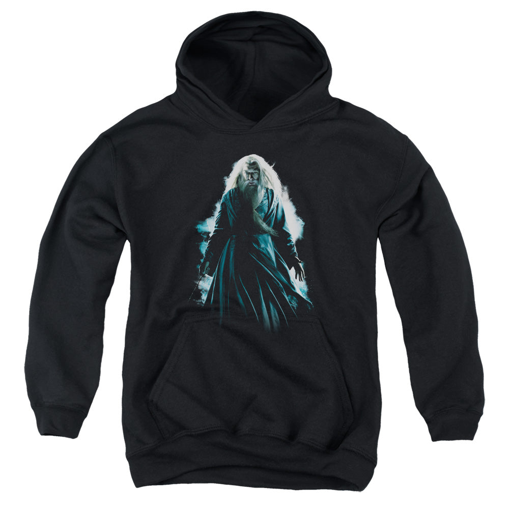 Harry Potter Dumbledore Burst Youth Cotton Poly Pull-Over Hoodie