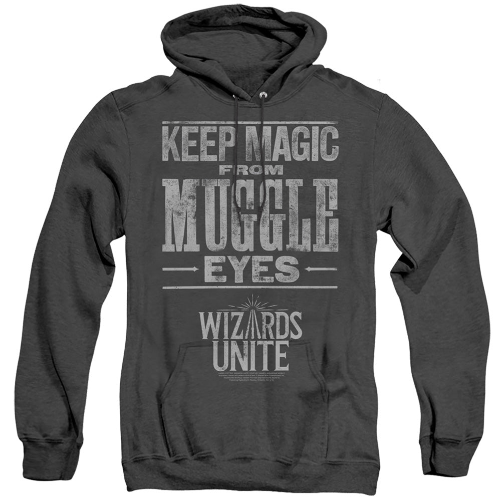 Harry Potter Hidden Magic Men's Pull-Over Hoodie