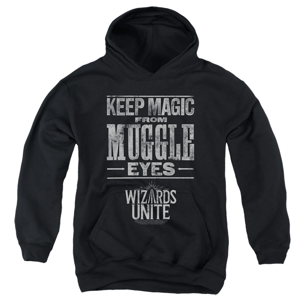 Harry Potter Hidden Magic Youth Cotton Poly Pull-Over Hoodie