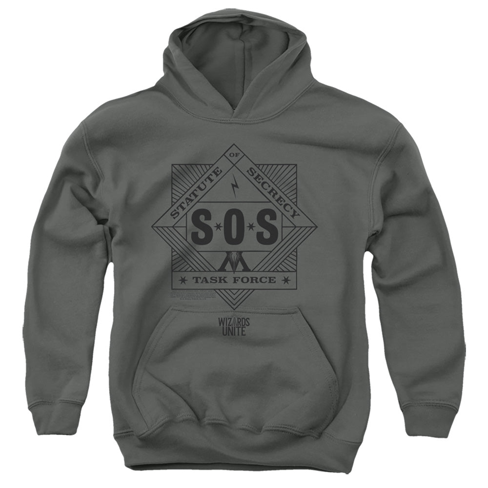 Harry Potter Sos Task Force Youth Cotton Poly Pull-Over Hoodie