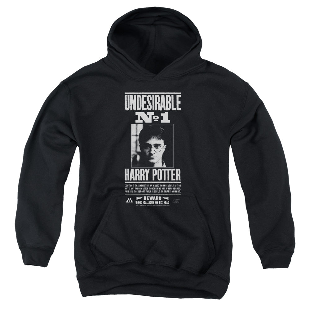 Harry Potter Undesirable No 1 Youth Cotton Poly Pull-Over Hoodie
