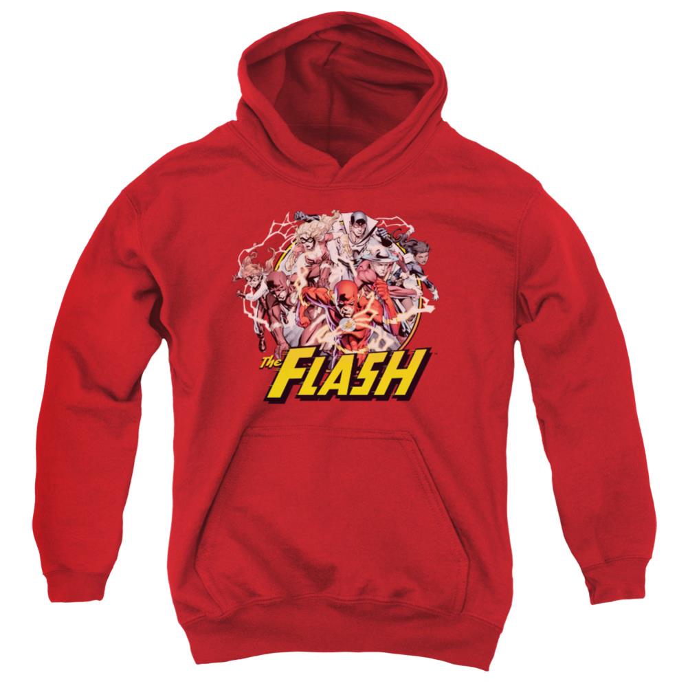 Justice League Of America Flash Family Youth Cotton Poly Pull-Over Hoodie