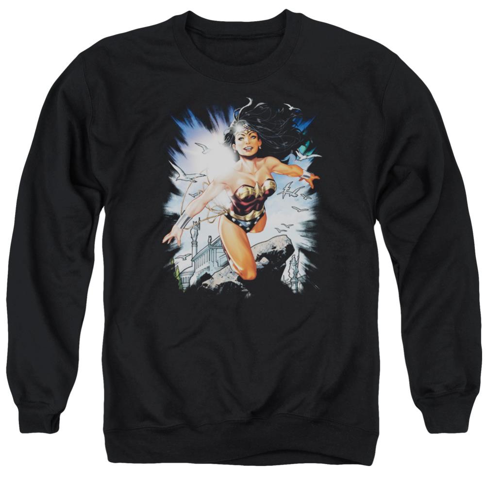 Justice League Of America Of Themyscira Men's Crewneck 50 50 Poly Long-Sleeve T-Shirt