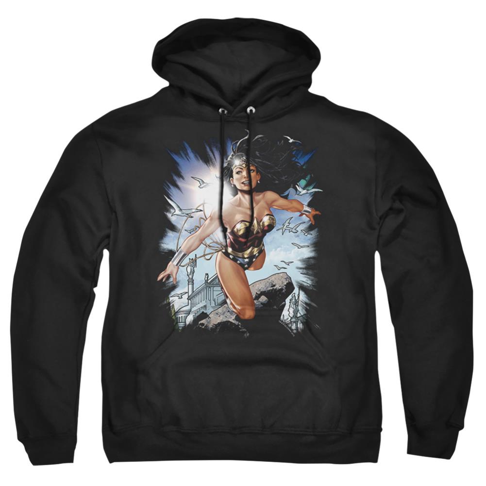 Justice League Of America Of Themyscira Men's Pull-Over 75 25 Poly Hoodie