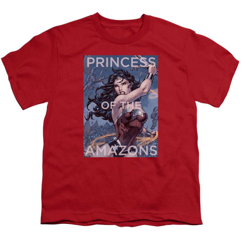 Justice League Of America Princess Of The Amazons Youth 18/1 100% Cotton Short-Sleeve T-Shirt