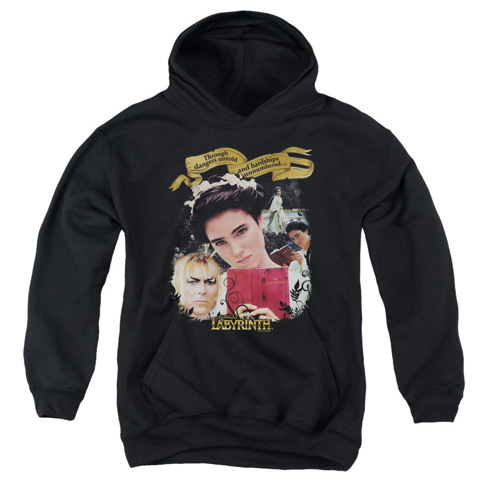 Labyrinth Dangers Untold Youth Cotton Poly Pull-Over Hoodie
