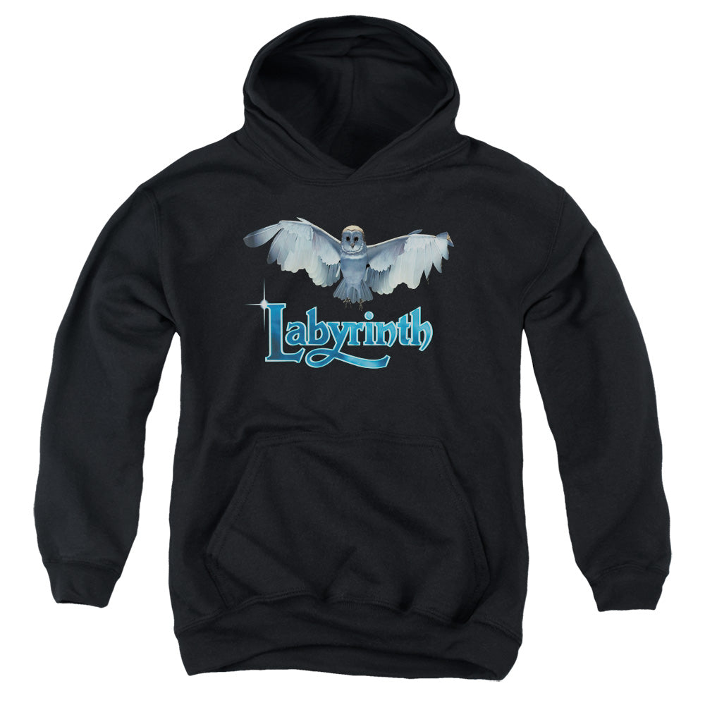 Labyrinth Title Sequence Youth Cotton Poly Pull-Over Hoodie