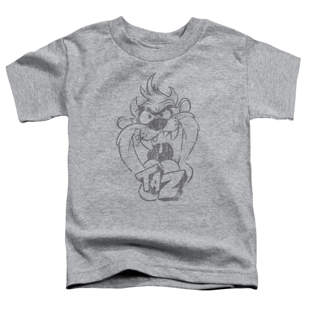 Looney Tunes Faded Taz Toddler 18/1 Cotton Short-Sleeve T-Shirt