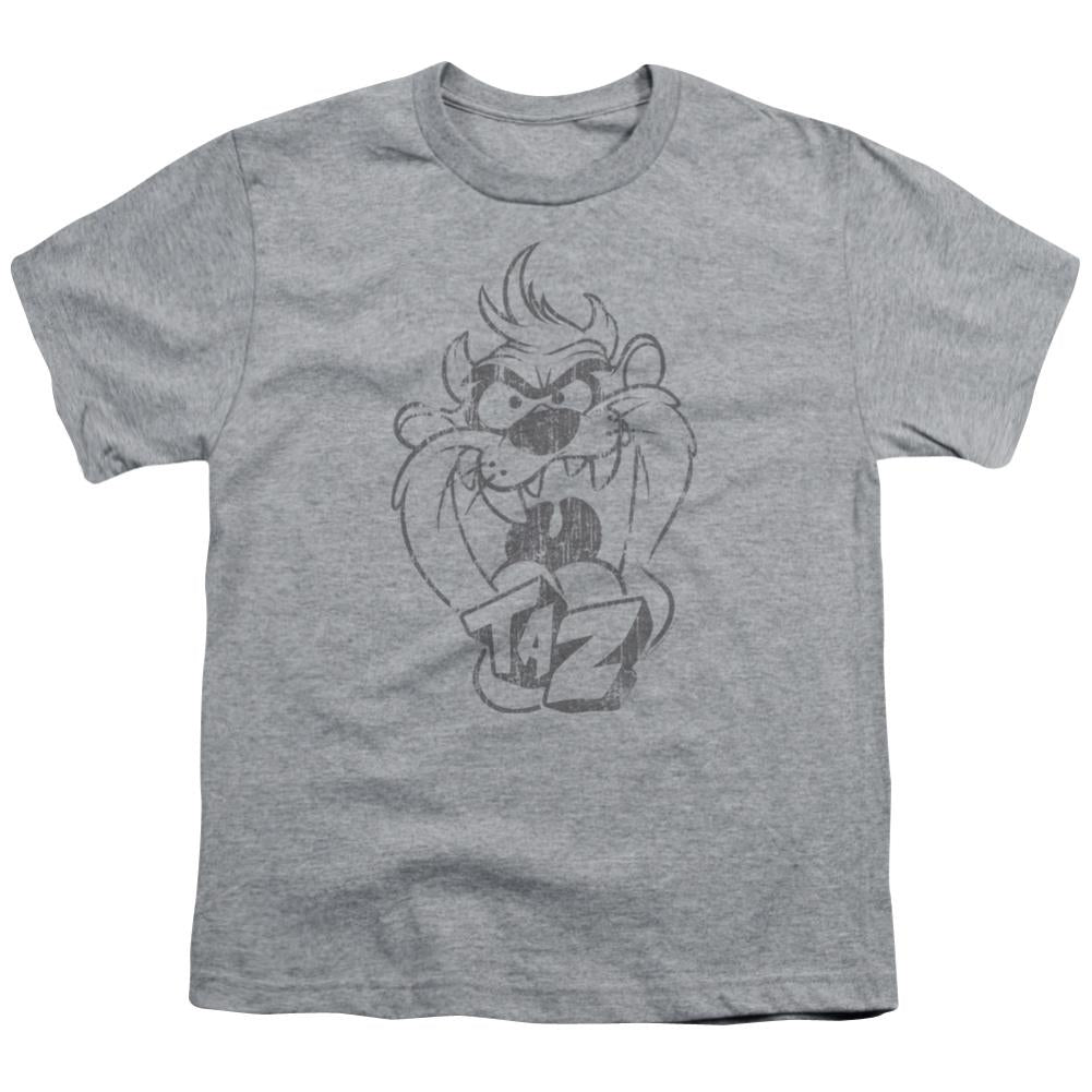 Looney Tunes Faded Taz Youth 18/1 100% Cotton Short-Sleeve T-Shirt
