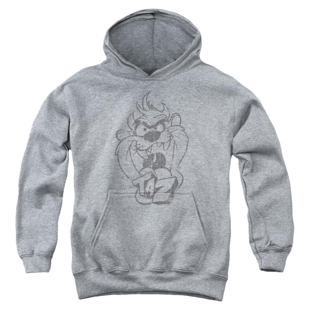 Looney Tunes Faded Taz Youth Cotton Poly Pull-Over Hoodie