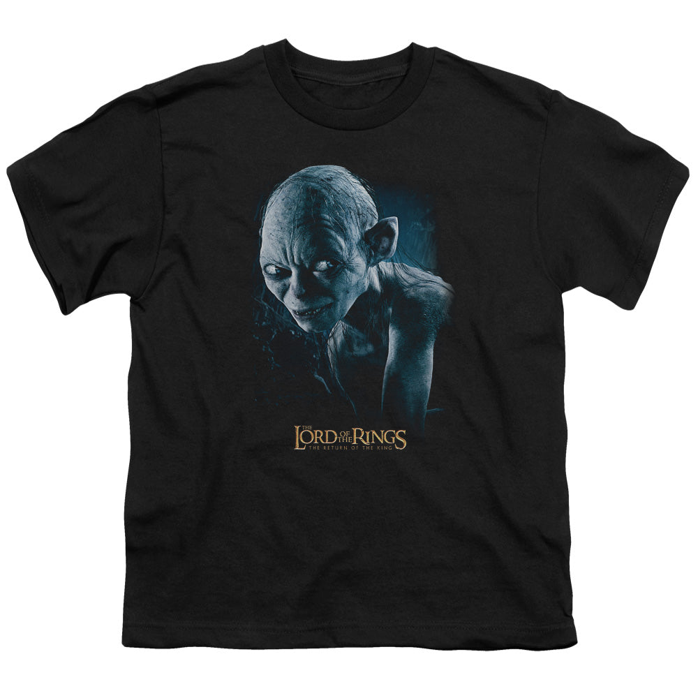 Lord Of The Rings Sneaking Youth 18/1 100% Cotton Short-Sleeve T-Shirt
