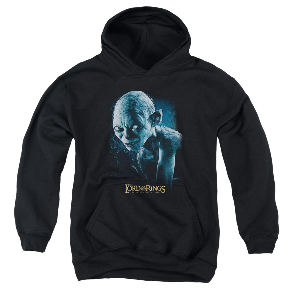 Lord Of The Rings Sneaking Youth Cotton Poly Pull-Over Hoodie