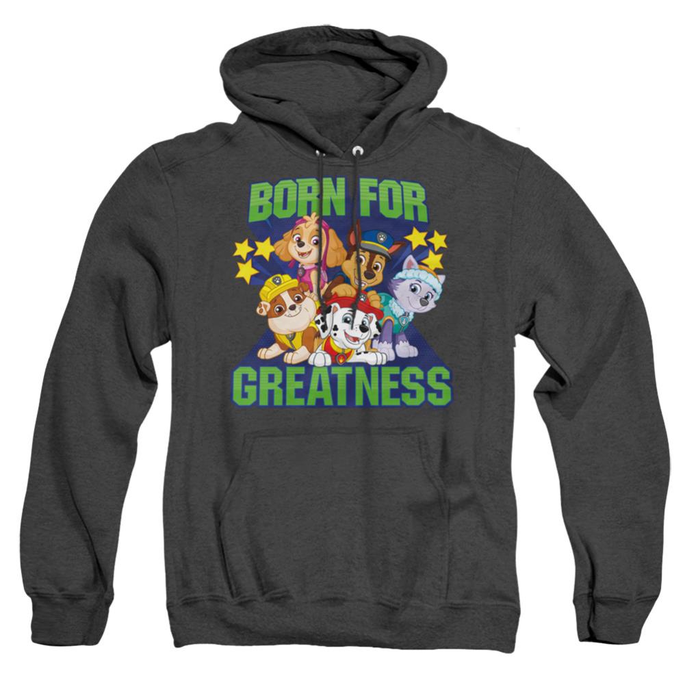 Paw Patrol Born For Greatness Men's Pull-Over Hoodie