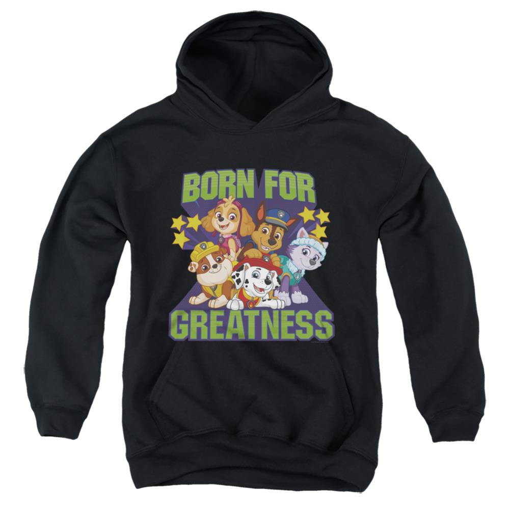 Paw Patrol Born For Greatness Youth Cotton Poly Pull-Over Hoodie