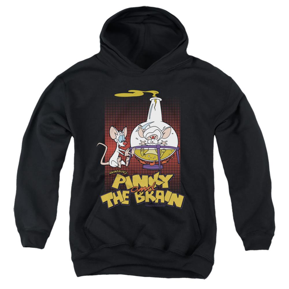 Pinky And The Brain Lab Flask Youth Cotton Poly Pull-Over Hoodie