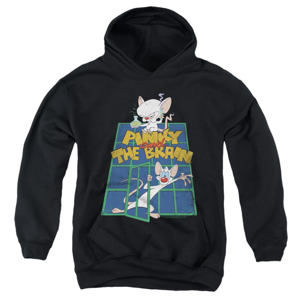 Pinky And The Brain Ol Standard Youth Cotton Poly Pull-Over Hoodie