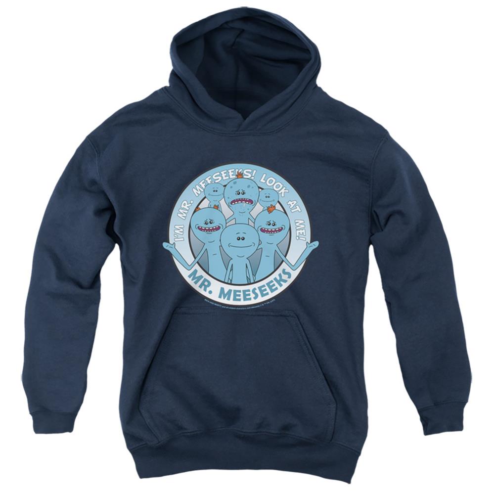 Rick And Morty Mr Meeseeks Youth Cotton Poly Pull-Over Hoodie