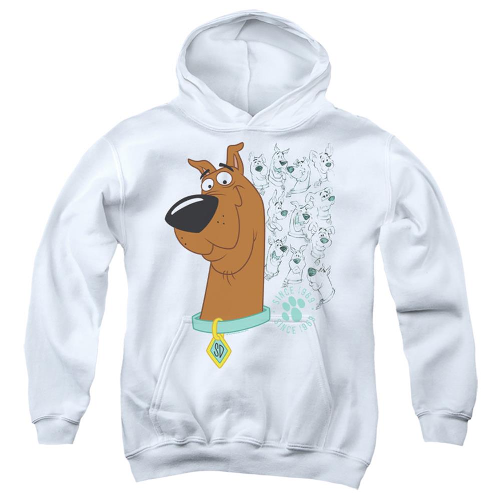 Scooby-Doo Evolution Of Scooby Doo Youth Cotton Poly Pull-Over Hoodie