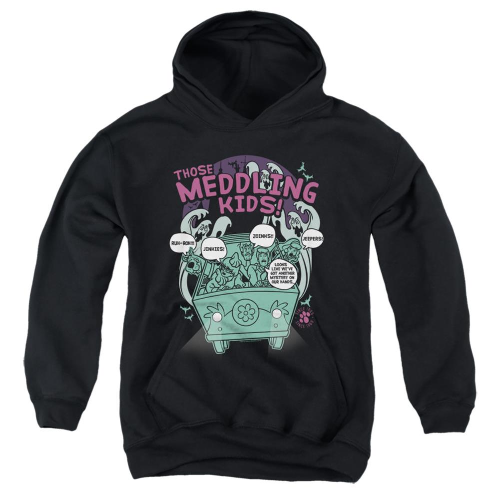 Scooby-Doo Meddling Since 1969 Youth Cotton Poly Pull-Over Hoodie