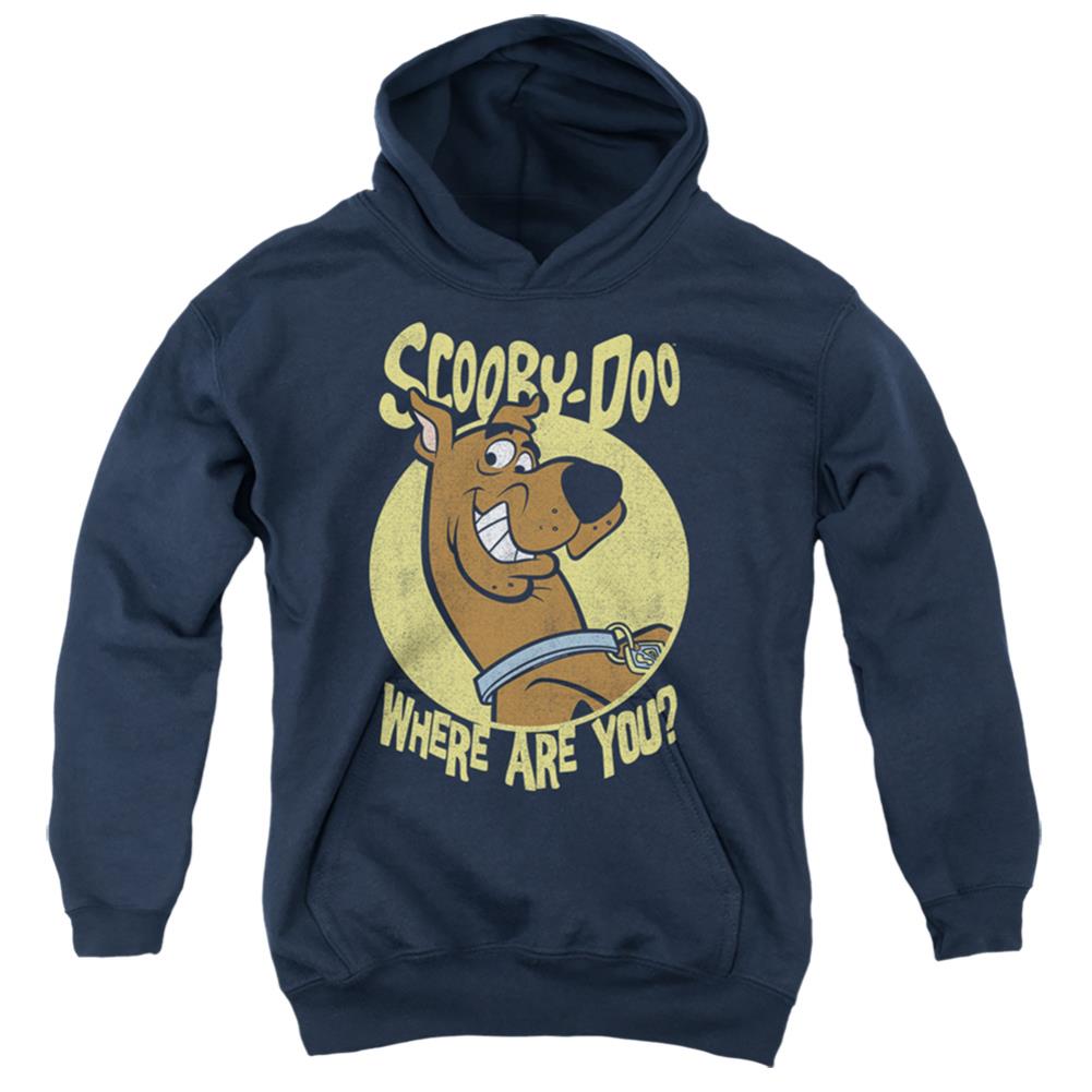 Scooby-Doo Where Are You Youth Cotton Poly Pull-Over Hoodie