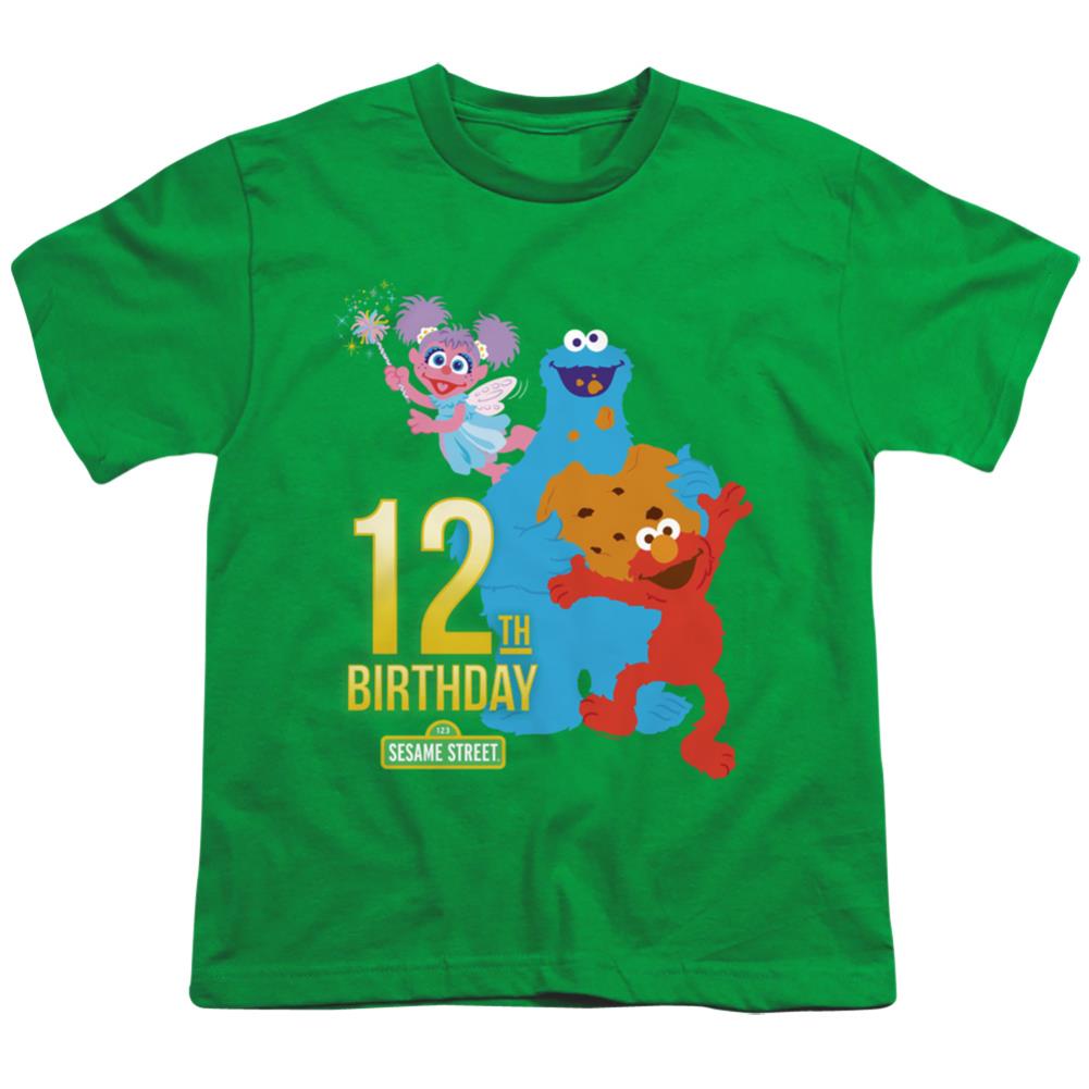 Sesame Street 12th Birthday Youth 18/1 100% Cotton Short-Sleeve T-Shirt