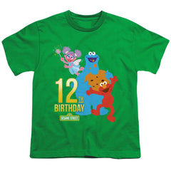 Sesame Street 12th Birthday Youth 18/1 100% Cotton Short-Sleeve T-Shirt
