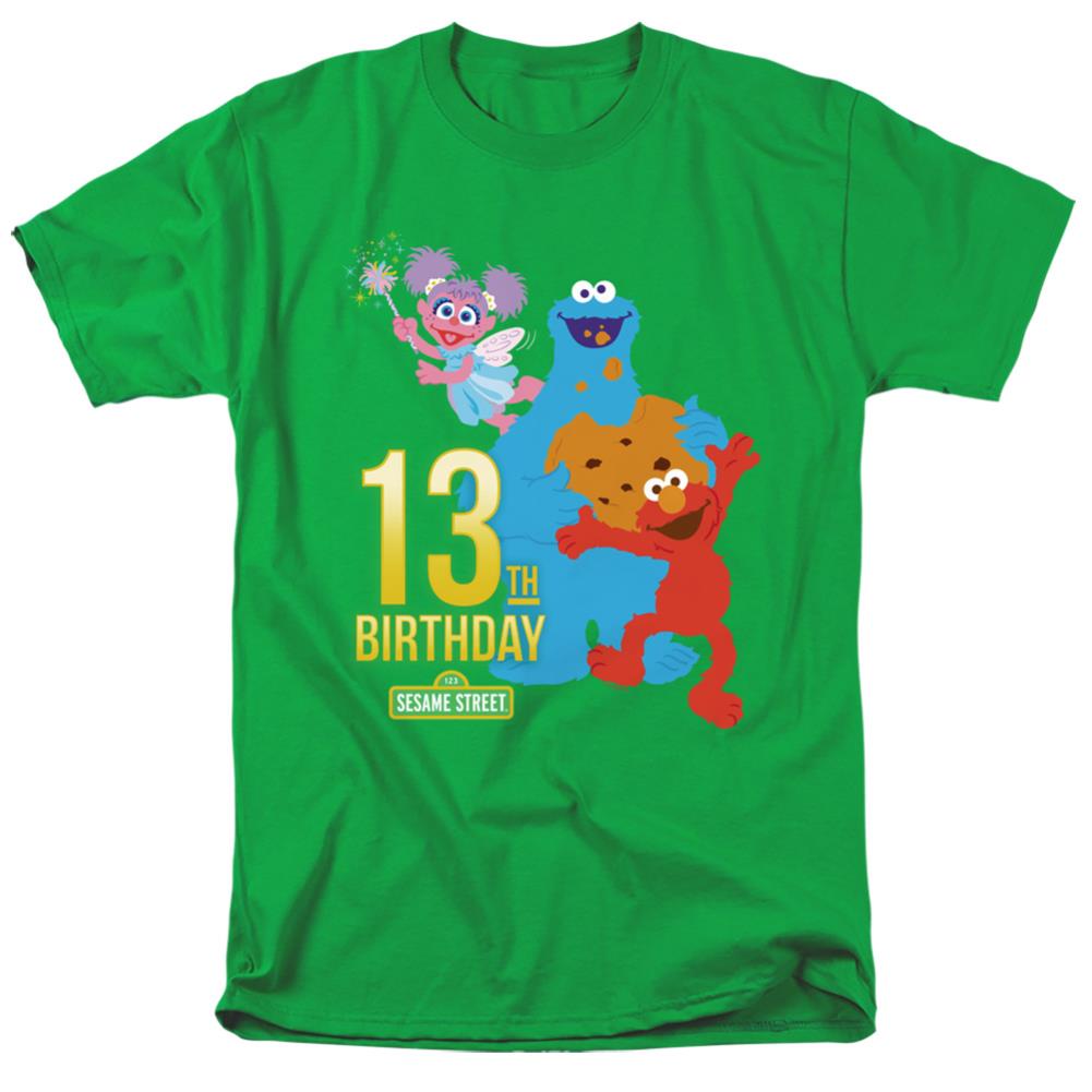 Sesame Street 13th Birthday Men's 18/1 Cotton Short-Sleeve T-Shirt