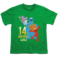 Sesame Street 14th Birthday Youth 18/1 100% Cotton Short-Sleeve T-Shirt