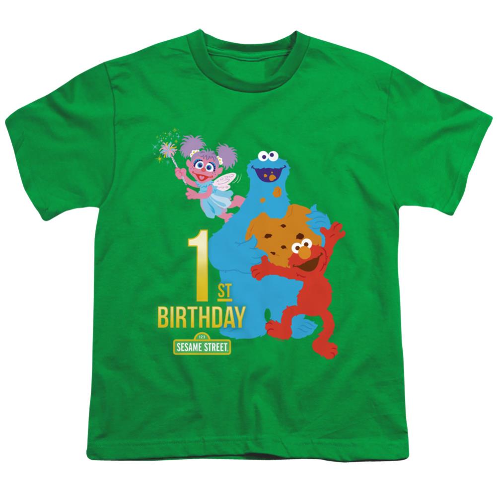 Sesame Street 1st Birthday Youth 18/1 100% Cotton Short-Sleeve T-Shirt