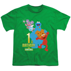 Sesame Street 1st Birthday Youth 18/1 100% Cotton Short-Sleeve T-Shirt