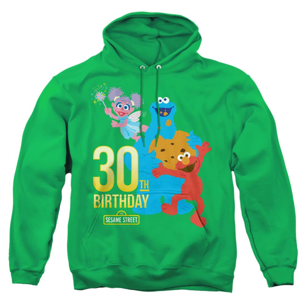 Sesame Street 30th Birthday Men's Pull-Over 75 25 Poly Hoodie