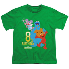 Sesame Street 8th Birthday Youth 18/1 100% Cotton Short-Sleeve T-Shirt