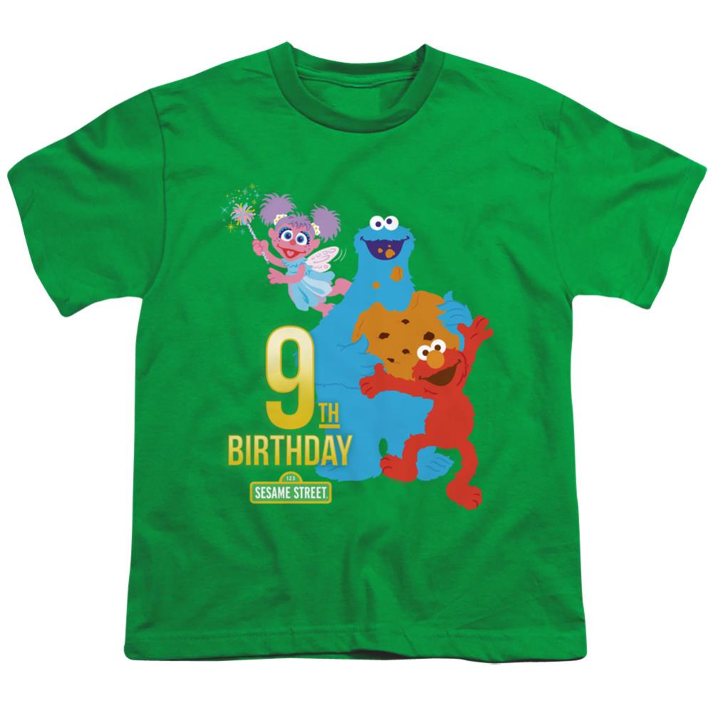 Sesame Street 9th Birthday Youth 18/1 100% Cotton Short-Sleeve T-Shirt