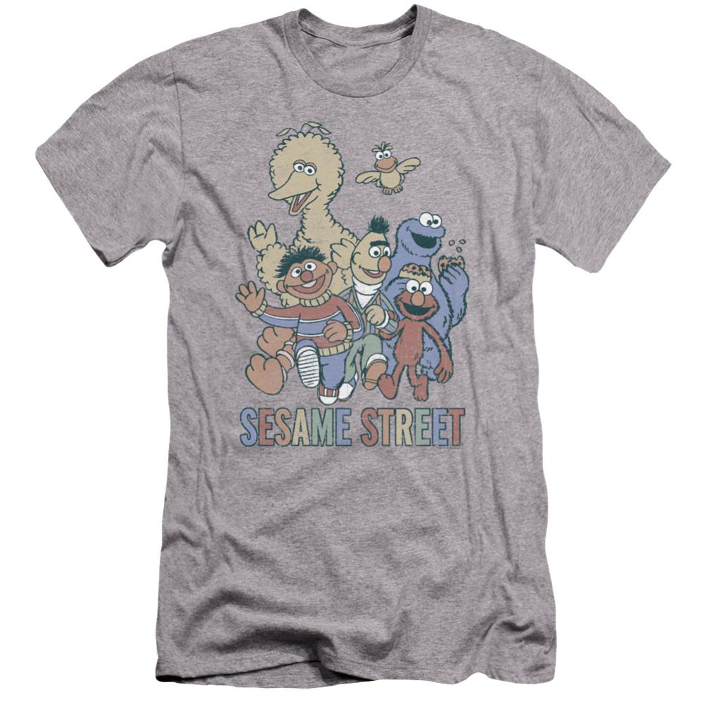 Sesame Street Colorful Group Men's Ultra-Soft 30/1 Cotton Slim Short-Sleeve T-Shirt