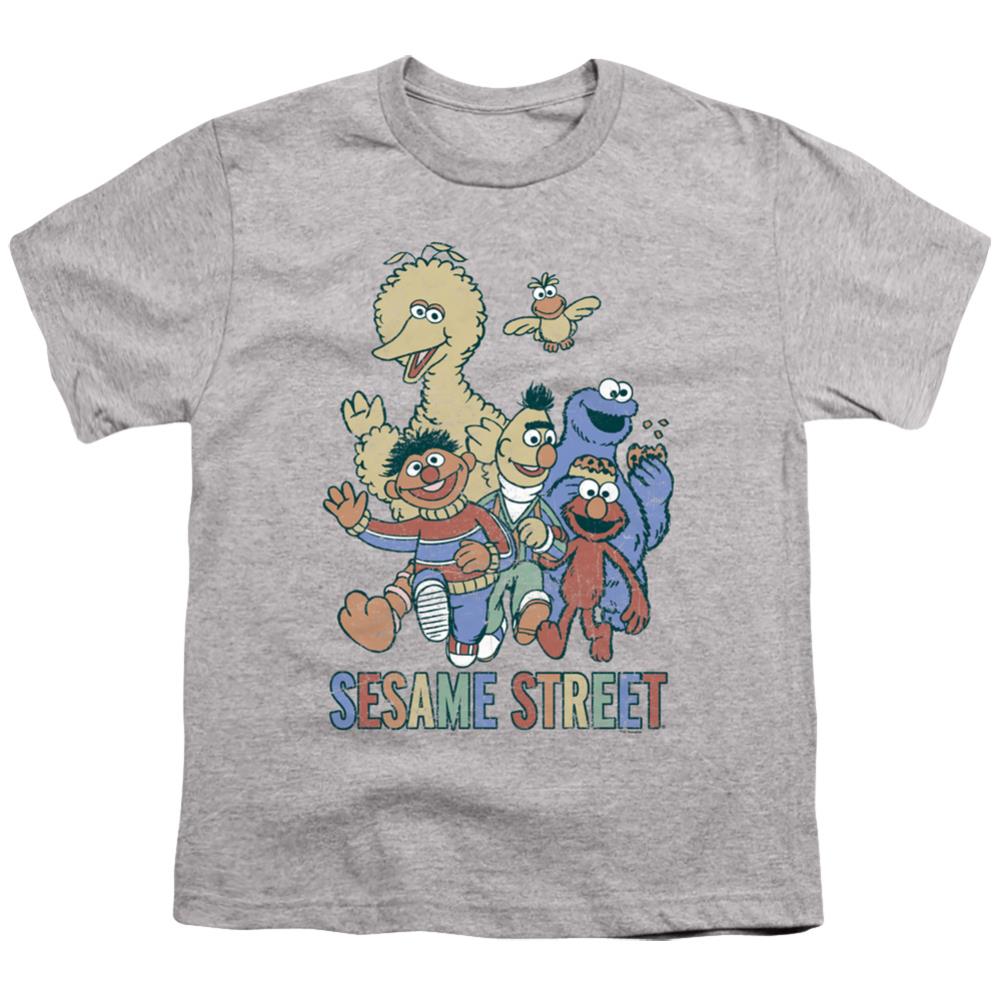 Sesame Street Colorful Group Youth 18/1 100% Cotton Short-Sleeve T-Shirt