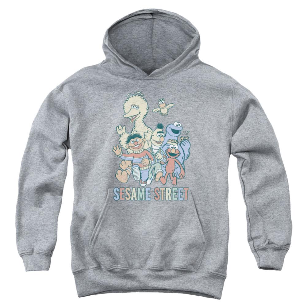 Sesame Street Colorful Group Youth Cotton Poly Pull-Over Hoodie