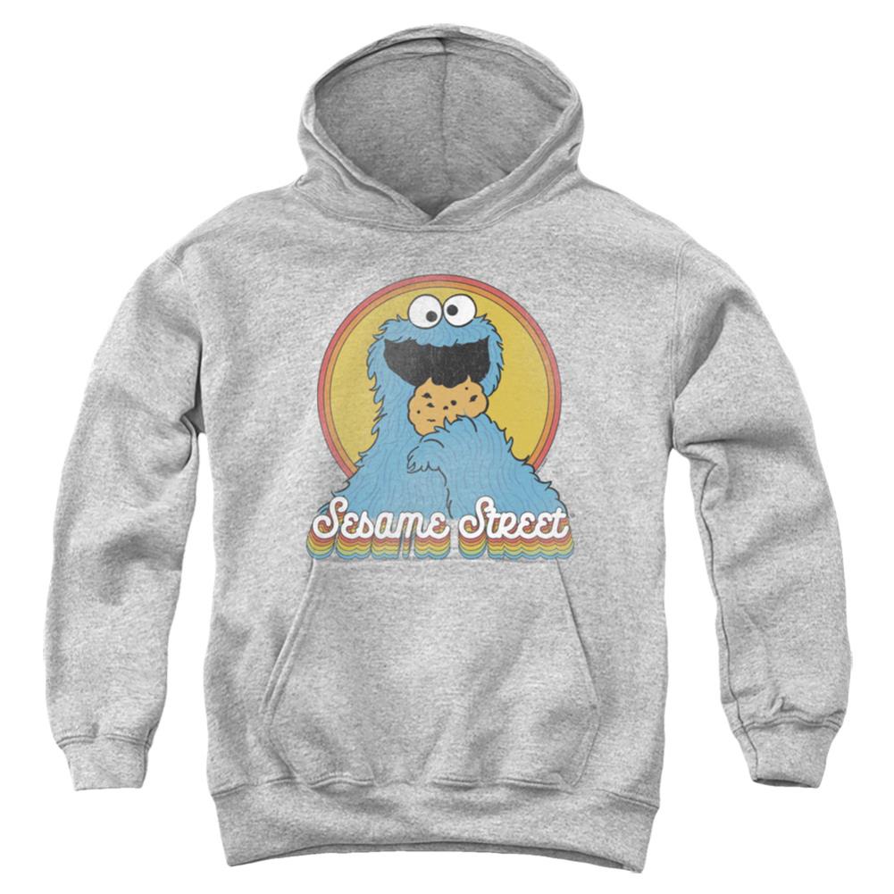 Sesame Street Cookie Monster Layers Youth Cotton Poly Pull-Over Hoodie