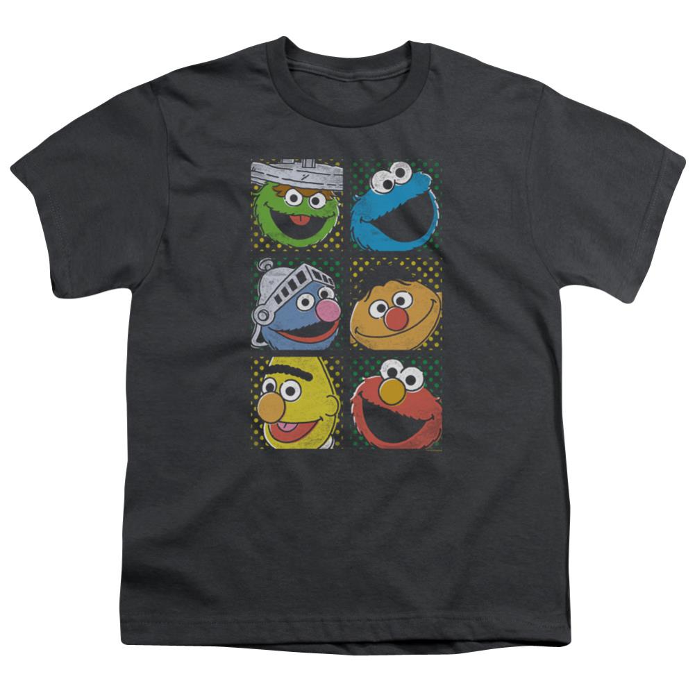 Sesame Street Group Squares Youth 18/1 100% Cotton Short-Sleeve T-Shirt