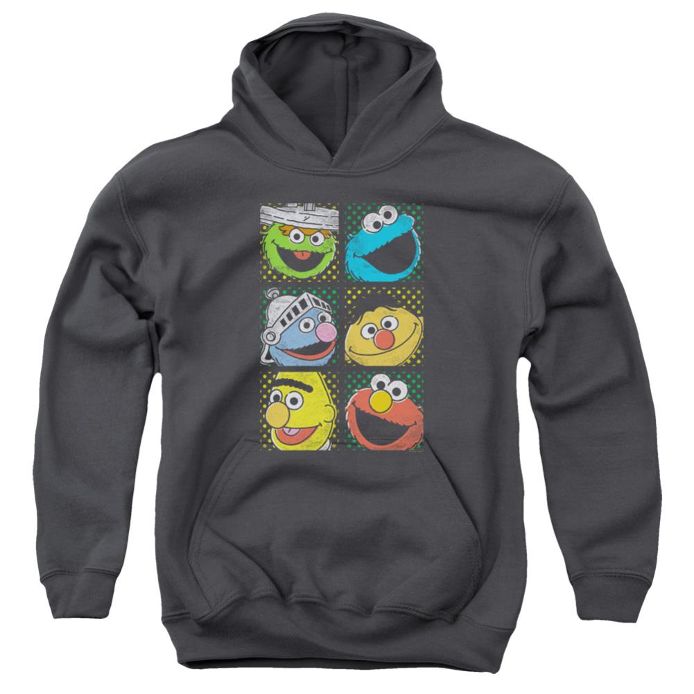 Sesame Street Group Squares Youth Cotton Poly Pull-Over Hoodie